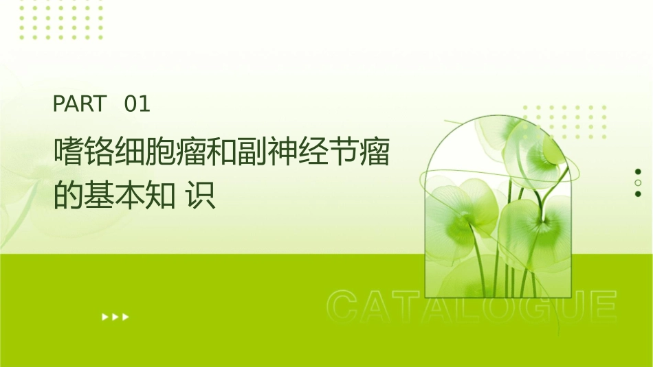 嗜铬细胞瘤和副神经节瘤切除术麻醉管理护理课件_第3页