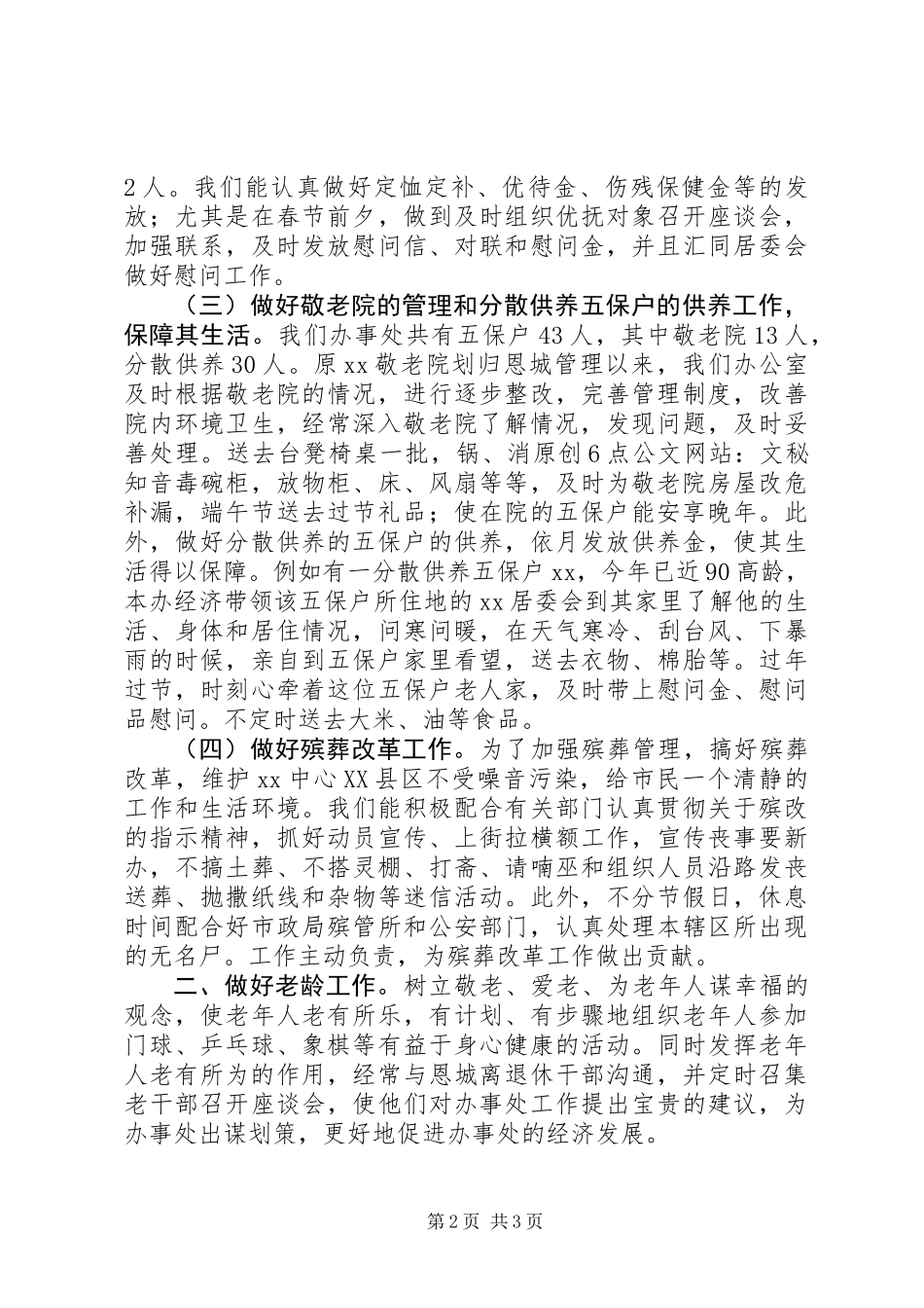 XX社会事务办工作总结标准版_第2页