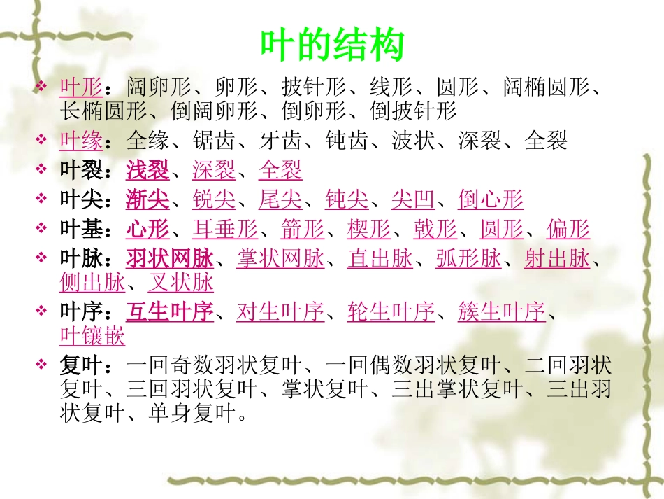 叶的形态特征_第2页