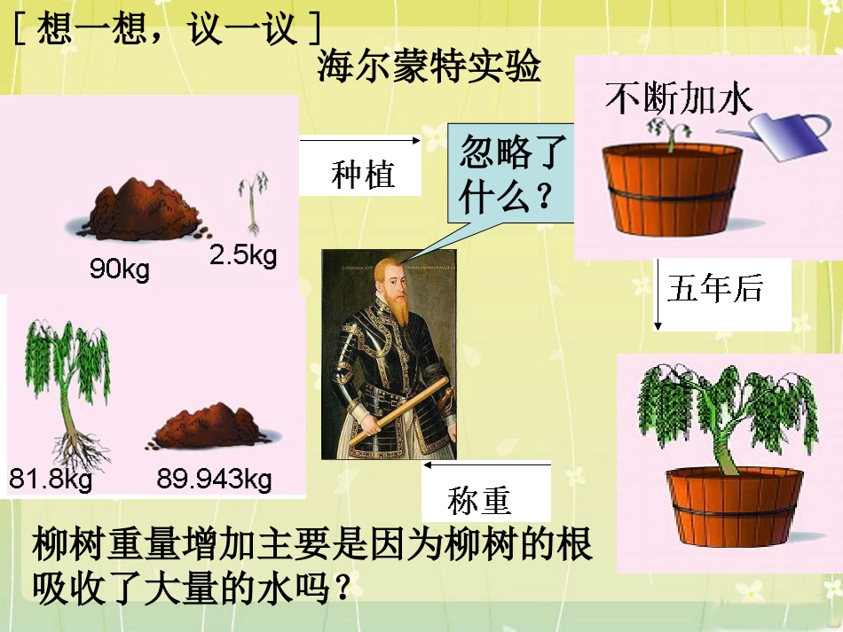 《光合作用吸收二氧化碳释放氧气》课件4_第2页