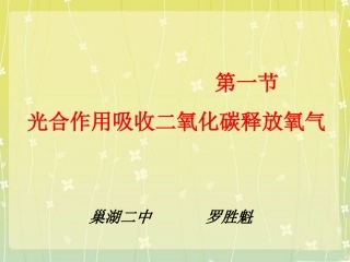 《光合作用吸收二氧化碳释放氧气》课件4