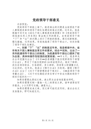 党政领导干部意见