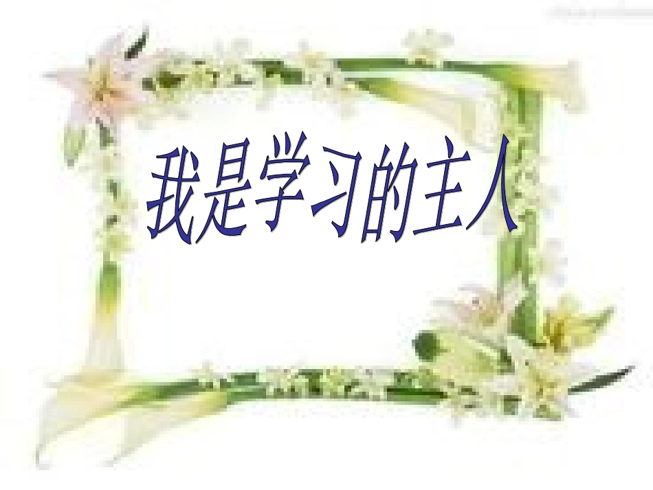 我是学习小主人_第1页
