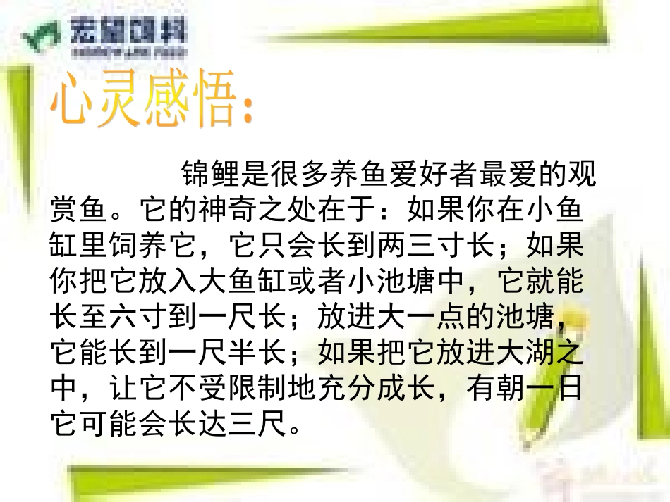 我是学习小主人_第3页