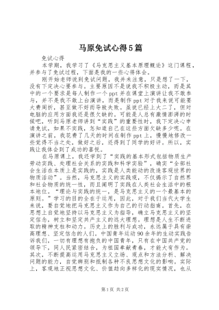 马原免试心得5篇