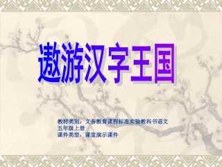 有趣的汉字王国