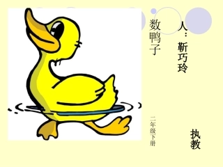 优质课数鸭子