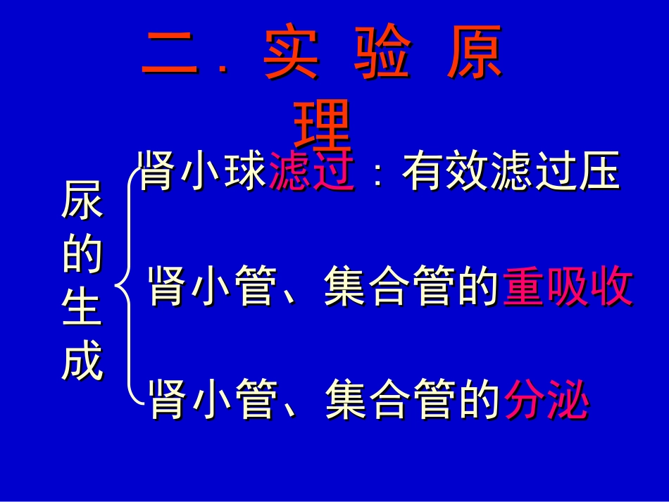 尿液生成的影响因素(_第3页