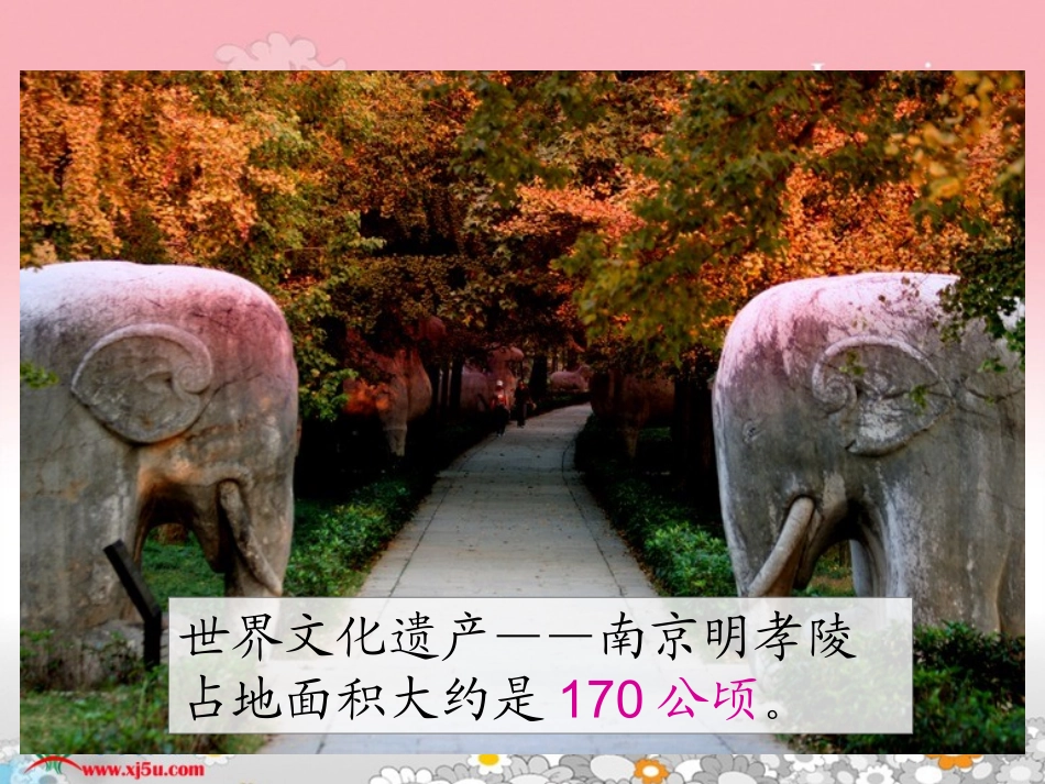 五年级上册《公顷和平方千米》课件_第3页