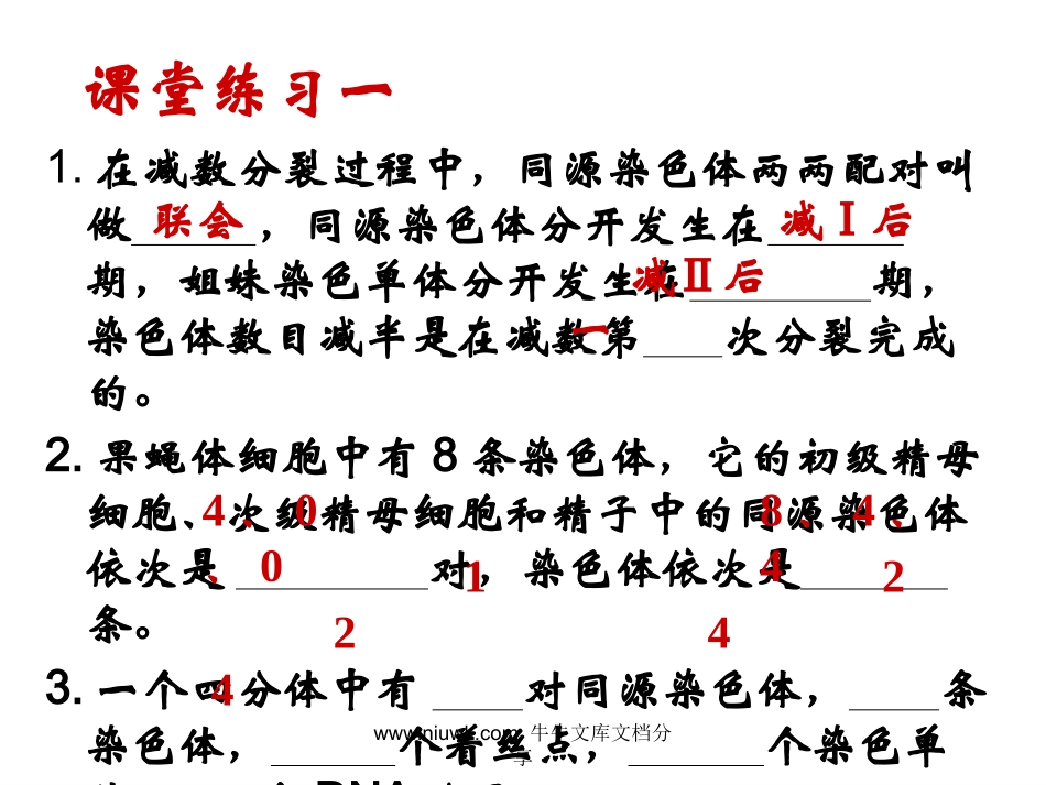 减数分裂和生殖细胞的形成_第2页