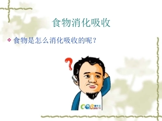 食物的消化吸收和人体特点