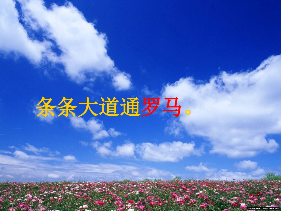 人教版五年级语文上册第四组《14通往广场的路不止一条》PPT课件_第3页