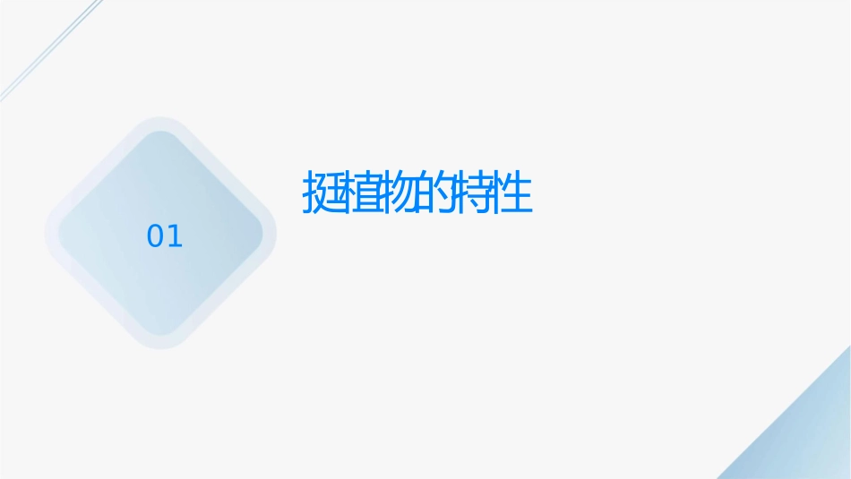 劲挺在山洼山腰看不见它们的根课件_第3页