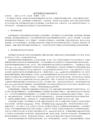 成骨细胞骨形成机制研究