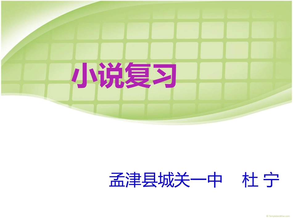 杜宁小说复习课_第1页