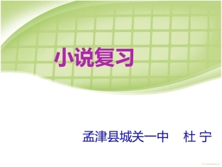 杜宁小说复习课