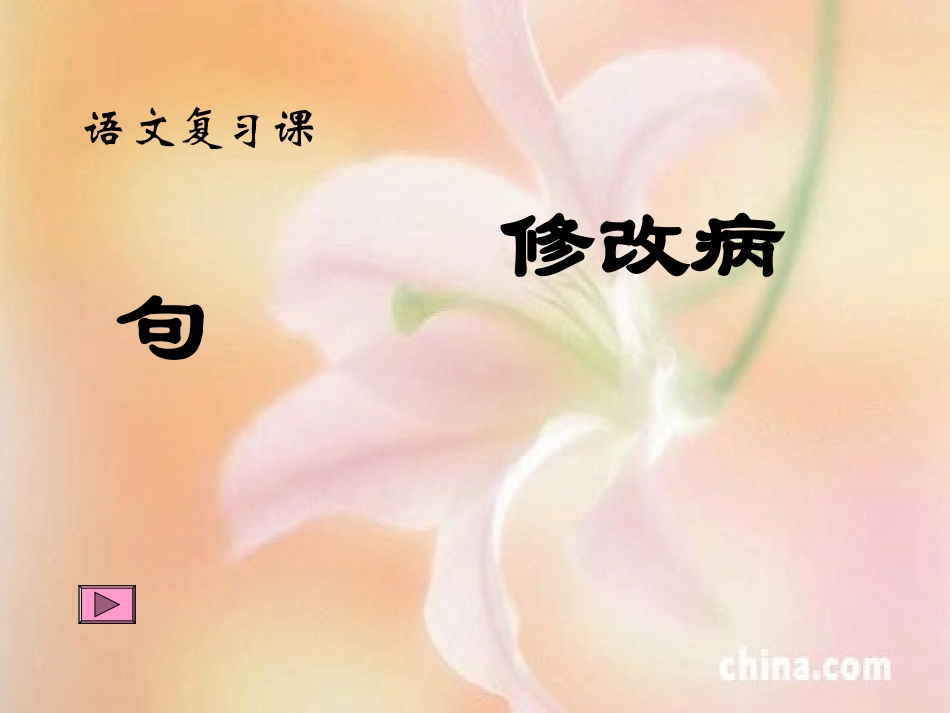 六年级总复习修改病句ppt_第2页