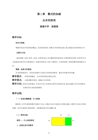 连丽娟《合并同类项》教学设计