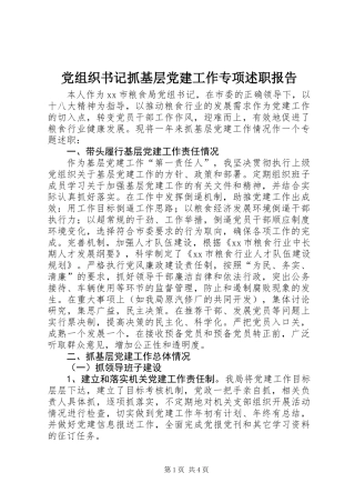 党组织书记抓基层党建工作专项述职报告