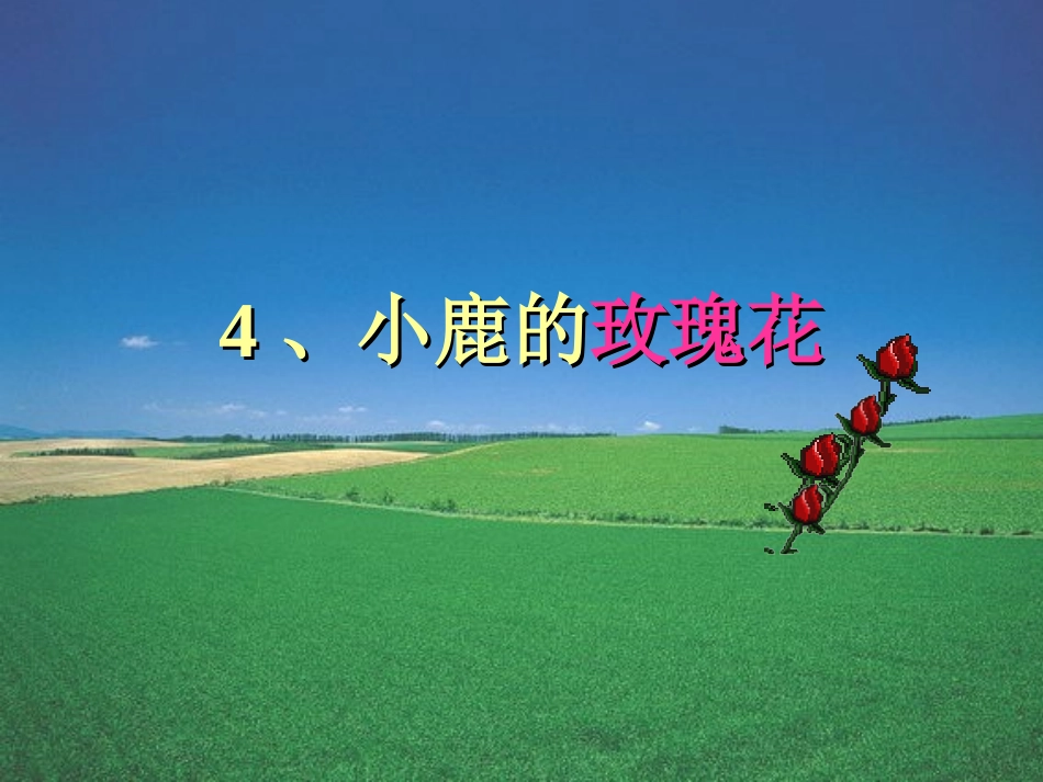 小鹿的玫瑰花 _第3页