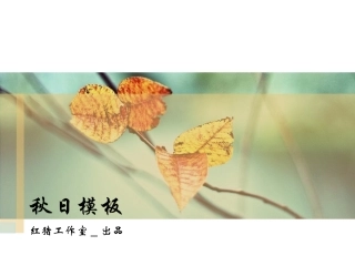 秋日落叶PPT模板