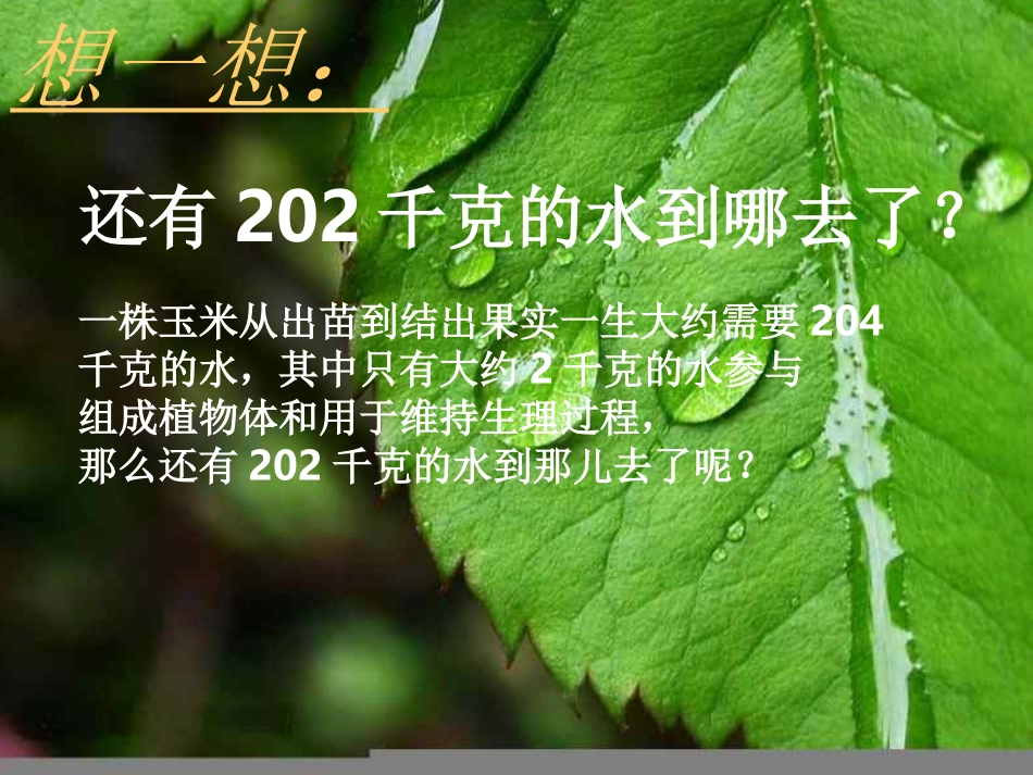 绿色植物的蒸腾作用_第1页