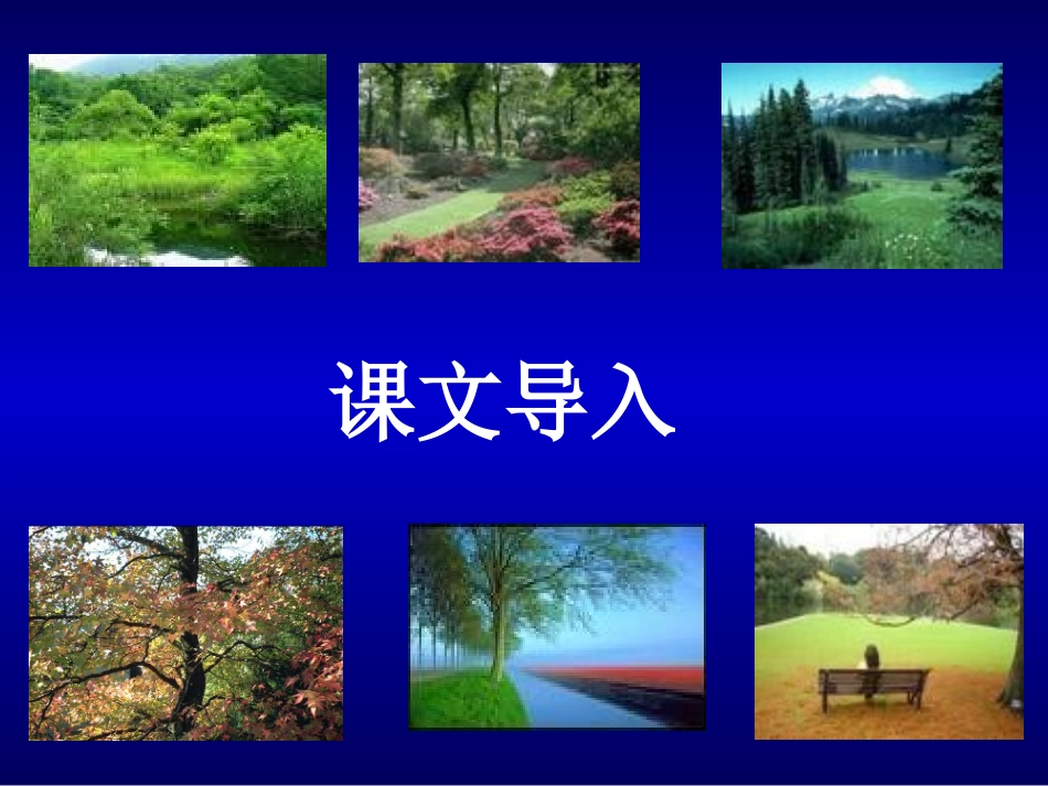 《樵夫，别砍那棵树》课件2（10张PPT）（语文版八年级下）_第1页