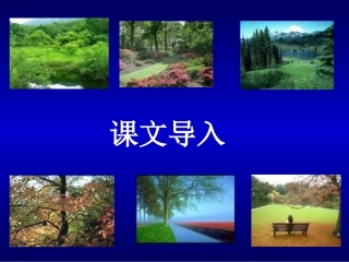 《樵夫，别砍那棵树》课件2（10张PPT）（语文版八年级下）