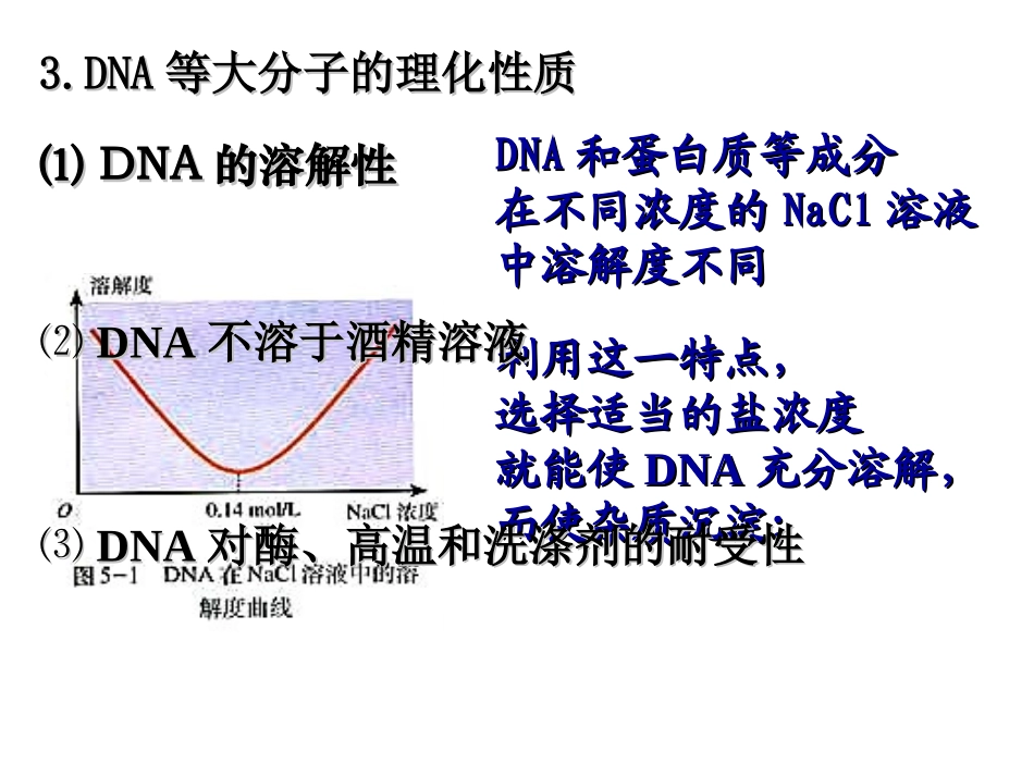 专题五DNA的粗提取与鉴定_第3页