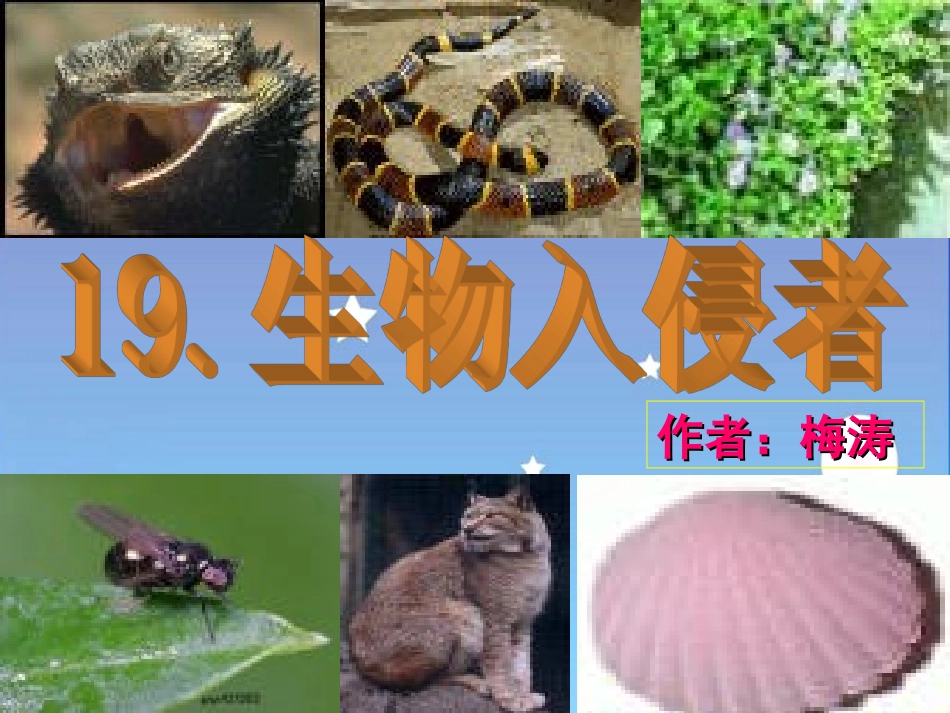 生物入侵者2_第1页