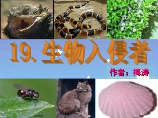 生物入侵者2