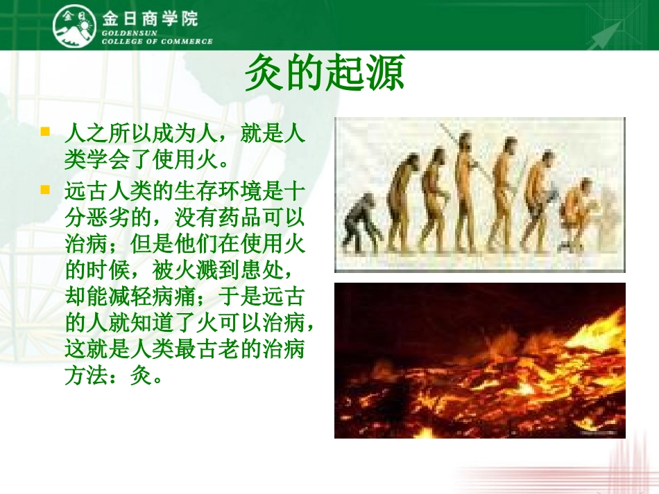 手到病除——金日掌灸-金日制药_第2页