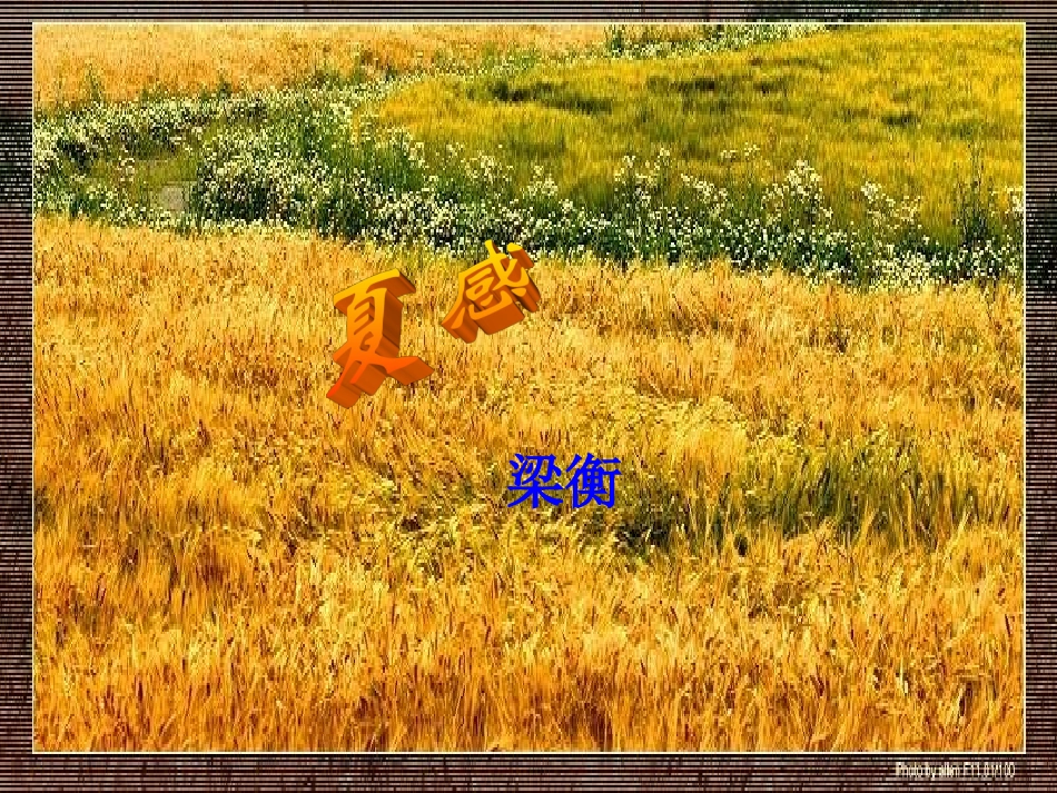 人教新课标版初中七上《夏感》课件_第2页