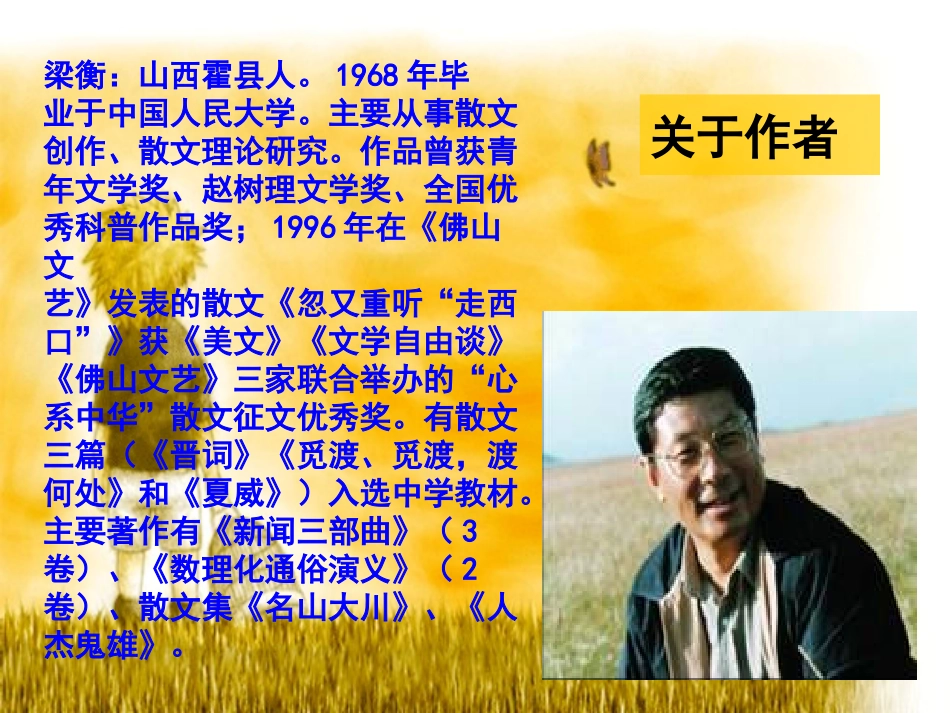 人教新课标版初中七上《夏感》课件_第3页