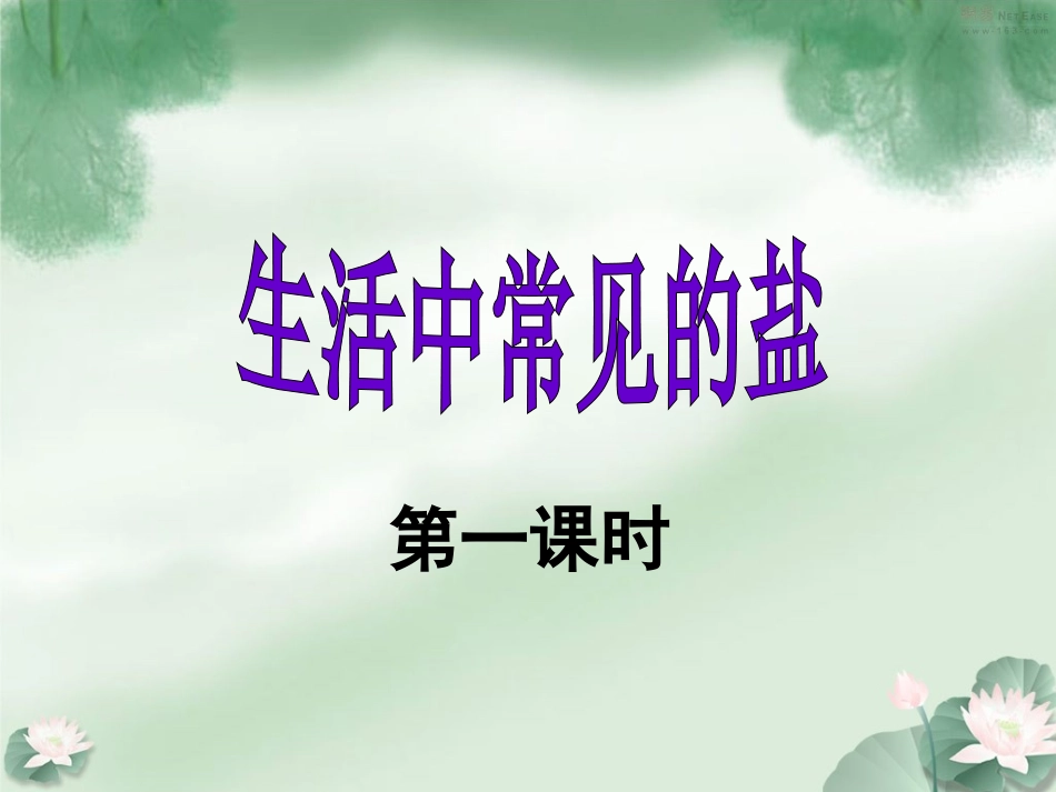 《生活中常见的盐》课件_第1页