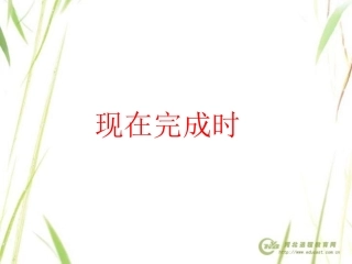 现在完成时4