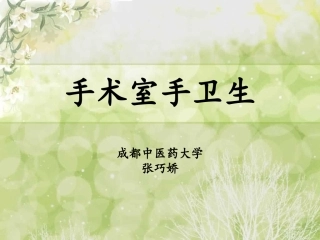 手术室手卫生幻灯