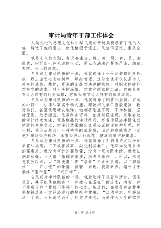 审计局青年干部工作体会 