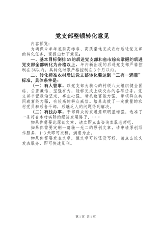 党支部整顿转化意见