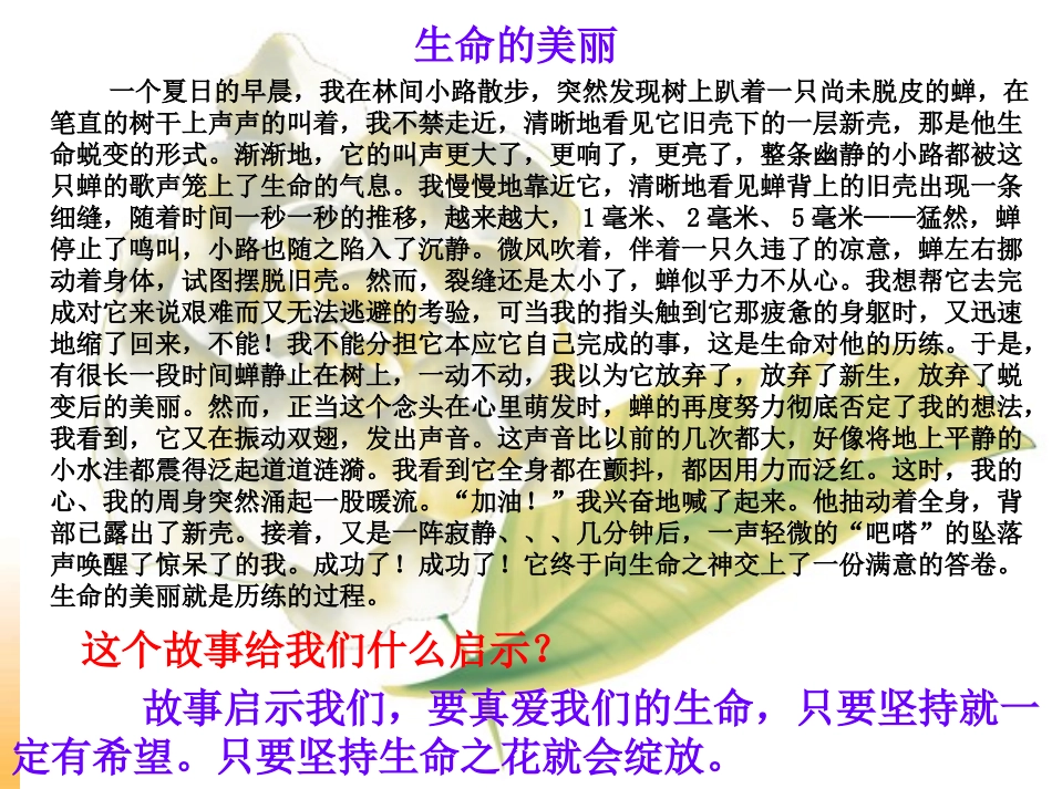 《让生命之花绽放》_第3页