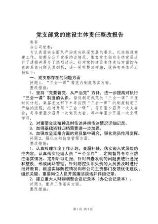 党支部党的建设主体责任整改报告