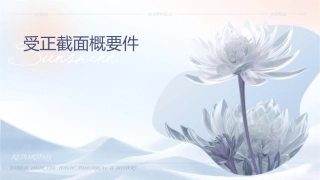 受压正截面概要课件