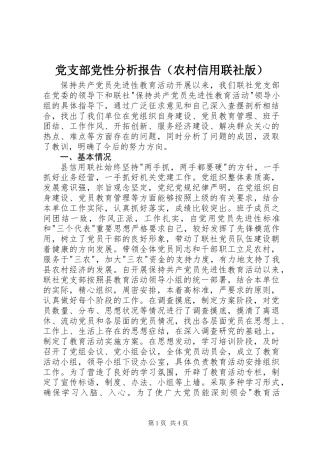 党支部党性分析报告(农村信用联社版)