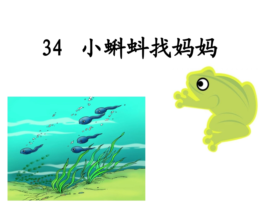 小蝌蚪找妈妈课件_第2页