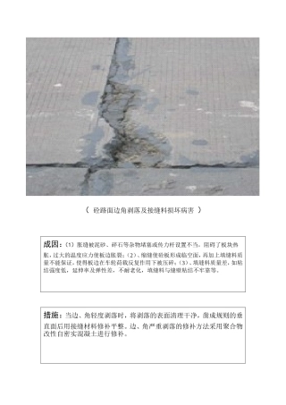 砼路面边角剥落及接缝料损坏病害