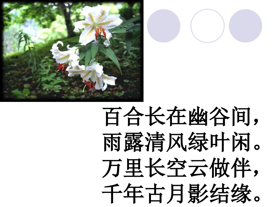百合长在幽谷间，_第2页