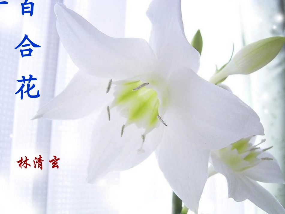 百合长在幽谷间，_第3页