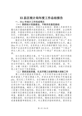 XX县区统计局年度工作总结报告