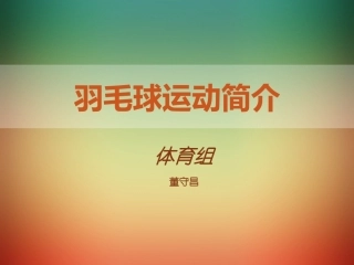 羽毛球运动简介