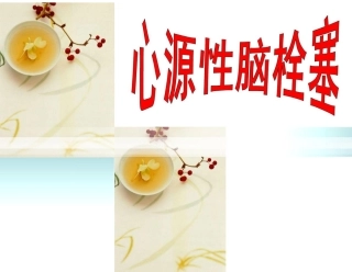 20120426心源性脑栓塞